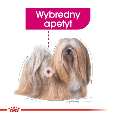 Tekst: Wybredny apetyt. Ilustracja psa długowłosej rasy z podpisem G. Detthorey, logo Royal Canin na dole.