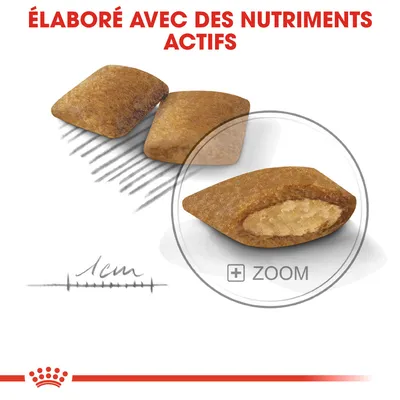 Croquettes sectionnées avec intérieur visible, texte : « Élaboré avec des nutriments actifs », échelle de 1 cm en bas à gauche, bouton zoom affiché.