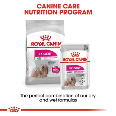 Royal Canin Exigent dry and wet food shown together. Text highlights canine care nutrition programme and the perfect combination of dry and wet formulas for fussy appetites.