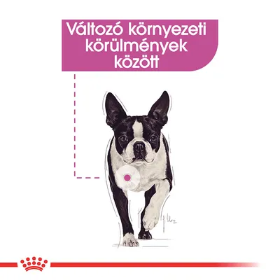 Változó környezeti körülmények között – felirat, fekete-fehér kutya illusztrációval, Royal Canin márkajelzés az alsó részen.