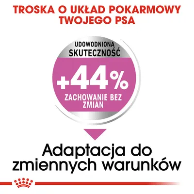 Troska o układ pokarmowy psa. Udowodniona skuteczność +44% zachowanie bez zmian. Adaptacja do zmiennych warunków.