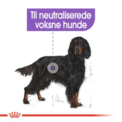 Illustration af sort hund med teksten: Til neutraliserede voksne hunde