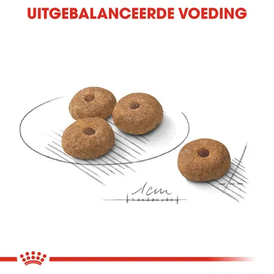 Vier ronde brokken van circa 1 cm, met tekst 'Uitgebalanceerde voeding' erboven. Illustratie toont de grootte en vorm van het voer.