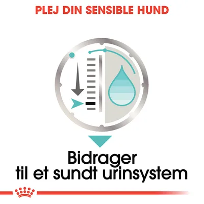 PLEJ DIN SENSIBLE HUND. Bidrager til et sundt urinsystem. Grafisk ikon med pil, skala og vanddråbe.