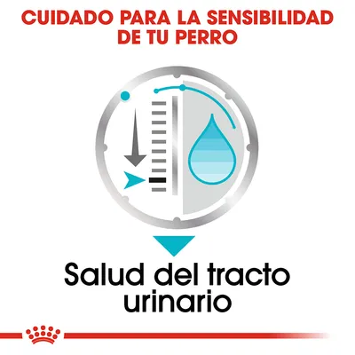 Cuidado para la sensibilidad de tu perro. Salud del tracto urinario.