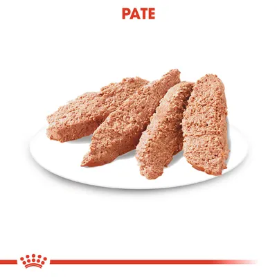 Patru felii de pate pe o farfurie albă, cu textul „PATE” deasupra imaginii.