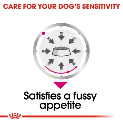 Text: CARE FOR YOUR DOG’S SENSITIVITY. Diagram of dog food bowl with arrows pointing inwards. Text: Satisfies a fussy appetite.