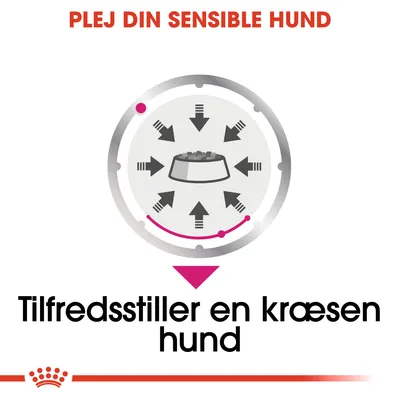 PLEJ DIN SENSIBLE HUND. Tilfredsstiller en kræsen hund. Illustration af madskål med pile pegende indad.