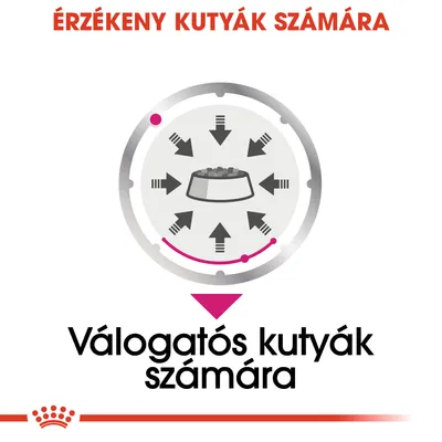 ÉRZÉKENY KUTYÁK SZÁMÁRA, VÁLOGATÓS KUTYÁK SZÁMÁRA feliratok, középen tál eledellel és nyilak mutatnak rá.