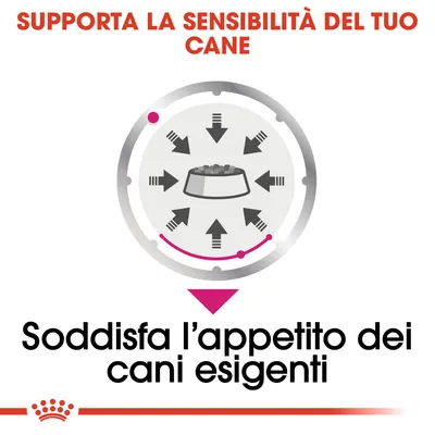 Supporta la sensibilità del tuo cane. Soddisfa l’appetito dei cani esigenti.