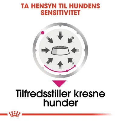 Royal Canin Exigent mousse