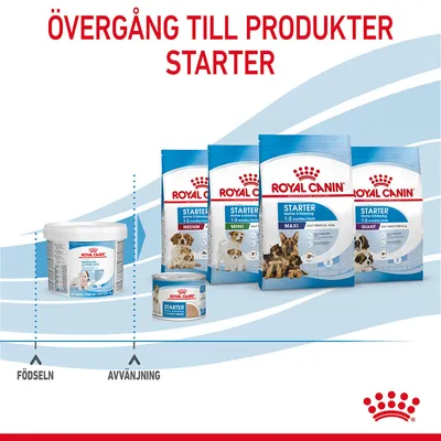 Royal Canin-produkter för valpar: mjölkersättning, våtfoder och torrfoder Starter Medium, Mini, Maxi, Giant. Text: Övergång till produkter Starter, födseln, avvänjning.