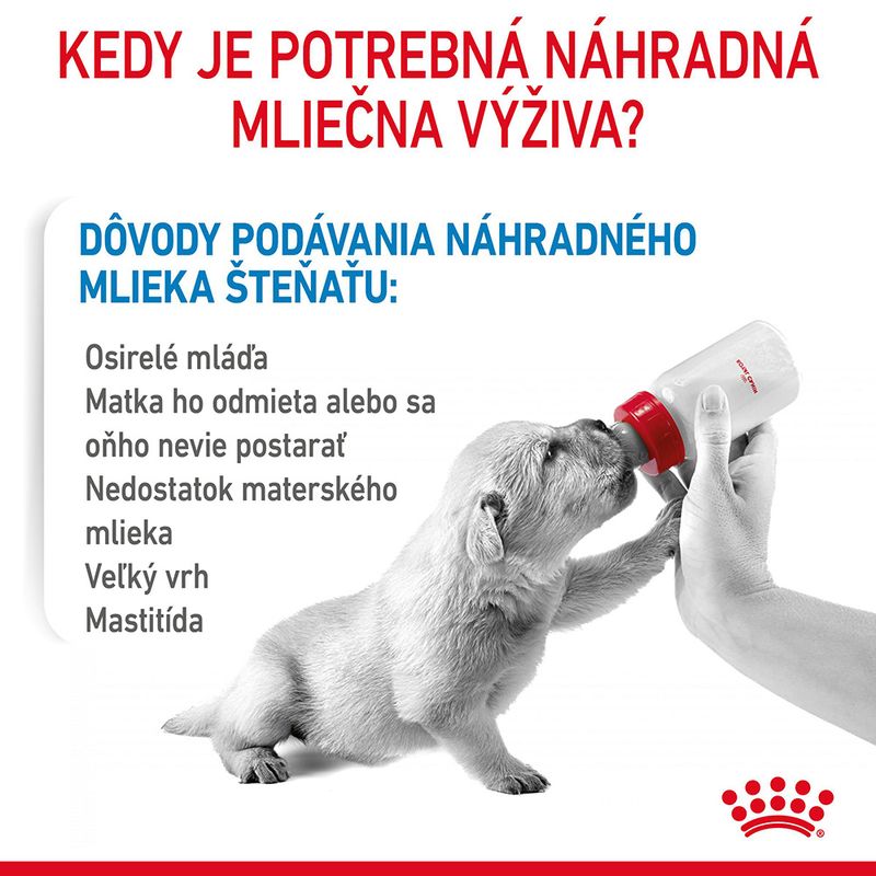 Royal Canin Babydog Milk