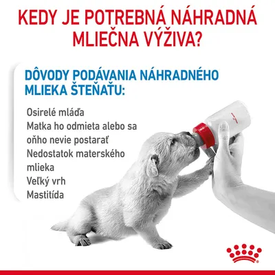 Royal Canin Babydog Milk