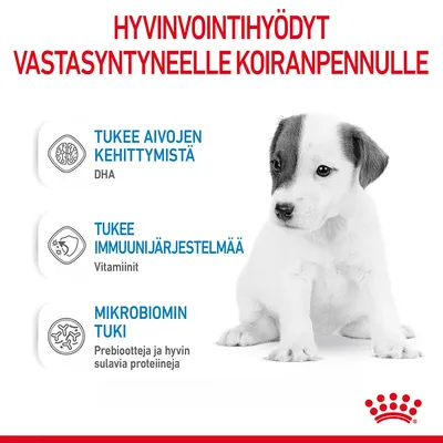 HYVINVOINTIHYÖDYT VASTASYNTYNEELLE KOIRANPENNULLE: tukee aivojen kehittymistä (DHA), tukee immuunijärjestelmää (vitamiinit), mikrobiomin tuki (prebiootteja ja hyvin sulavia proteiineja)