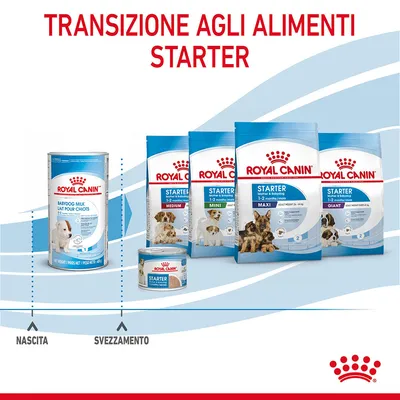 Transizione agli alimenti starter Royal Canin: Babydog Milk, Starter Medium, Mini, Maxi, Giant e umido. Testo visibile: nascita, svezzamento.