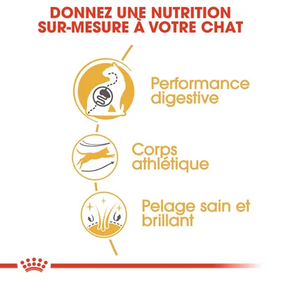 Donnez une nutrition sur-mesure à votre chat : performance digestive, corps athlétique, pelage sain et brillant. Texte en français belge.