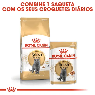 ROYAL CANIN Adult British Shorthair. Embalagem de ração seca e saqueta de 85 g para gatos. Texto: Combine 1 saqueta com os seus croquetes diários.