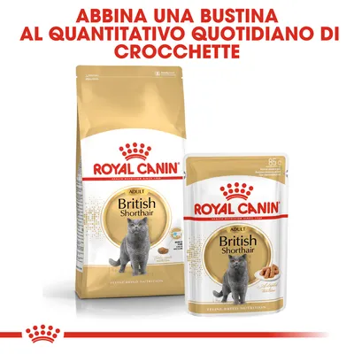 ROYAL CANIN British Shorthair Adult, sacco e bustina visibili. Testo in alto: Abbina una bustina al quantitativo quotidiano di crocchette.