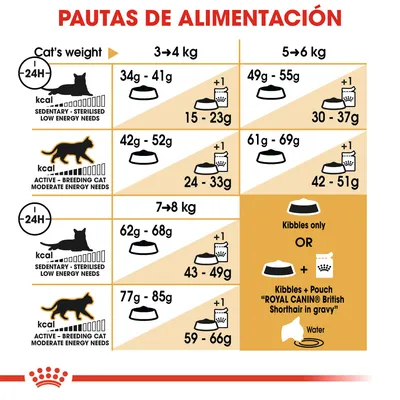 Pautas de alimentación para gatos según peso y nivel de actividad: 3–4 kg, 5–6 kg, 7–8 kg; cantidades en gramos para gatos sedentarios o activos, opción de combinar croquetas y sobre húmedo.