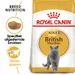 Royal Canin British Shorthair Adult - Kattenvoer