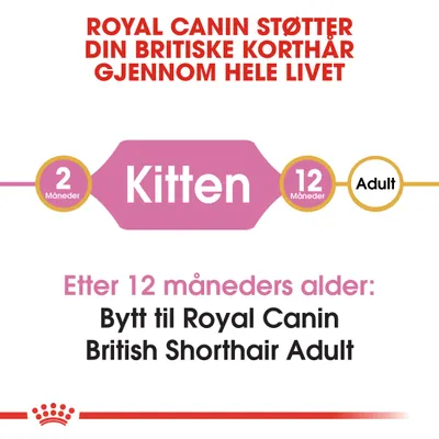 Royal Canin British Shorthair Kitten