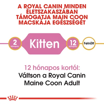 A Royal Canin minden életszakaszban támogatja Main Coon macskája egészségét. 2 hónapos: Kitten, 12 hónapos: Felnőtt. 12 hónapos kortól váltson a Royal Canin Maine Coon Adult termékre.