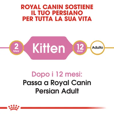 ROYAL CANIN sostiene il tuo Persiano per tutta la sua vita. Da 2 a 12 mesi: Kitten. Dopo i 12 mesi passa a Royal Canin Persian Adult.
