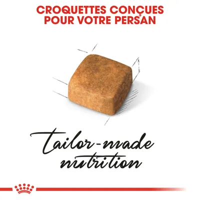 Croquettes conçues pour votre Persan. Texte en anglais : tailor-made nutrition.