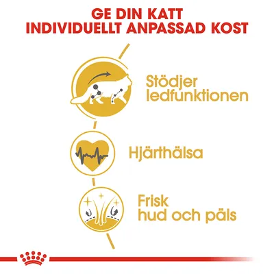 Ge din katt individuellt anpassad kost. Stödjer ledfunktionen, hjärthälsa, frisk hud och päls.