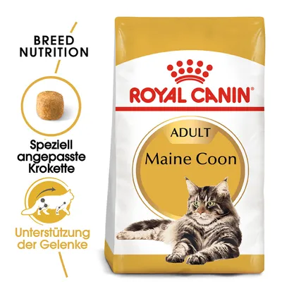 Royal Canin Adult Maine Coon храна за котки. Специално адаптирана гранула и подпомагане на ставите. Breed Nutrition за Maine Coon котки.