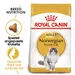 Royal Canin Norwegian Forest Cat Adult