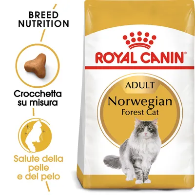 Royal Canin Adult Norwegian Forest Cat, crocchetta su misura, salute della pelle e del pelo. Immagine di un gatto norvegese e della forma della crocchetta.