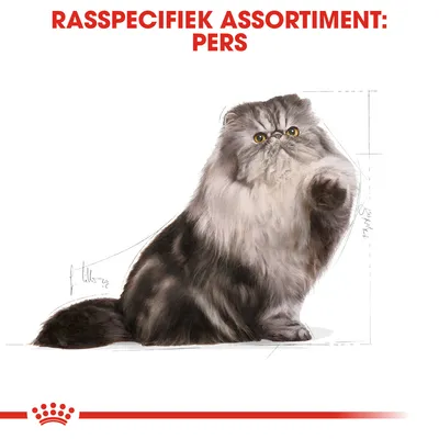 Rasspecifiek assortiment: Pers. Illustratie van een Perzische kat met lange vacht, merk Royal Canin zichtbaar onderaan.