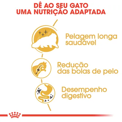 Dê ao seu gato uma nutrição adaptada: pelagem longa saudável, redução das bolas de pelo, desempenho digestivo.
