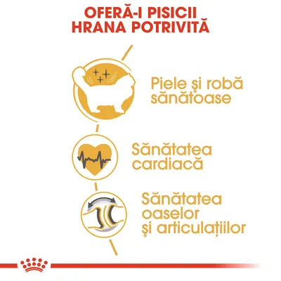 OFERĂ-I PISICII HRANA POTRIVITĂ. Piele și robă sănătoase, Sănătatea cardiacă, Sănătatea oaselor și articulațiilor.