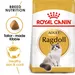 Royal Canin Ragdoll Adult