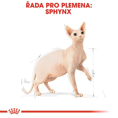 Řada pro plemena: Sphynx. Ilustrace kočky sphynx s náčrtem proporcí těla, červený nápis nahoře.