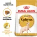 Royal Canin Sphynx Adult pour chat