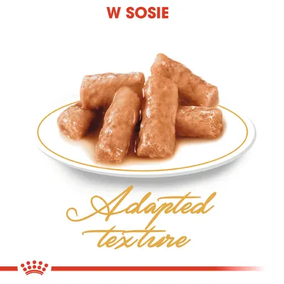Kawałki karmy w sosie na talerzu, tekst: W SOSIE, Adapted texture