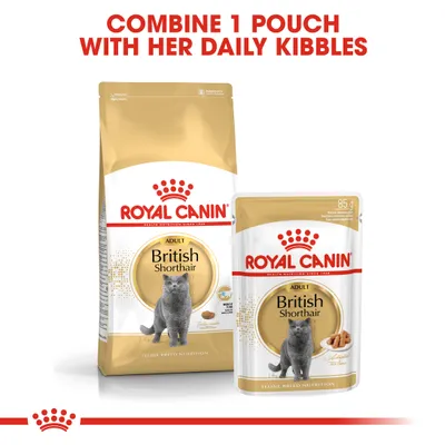 Instructional image showing Royal Canin British Shorthair dry food and wet pouch with text: Combine 1 pouch with her daily kibbles.