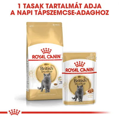 Royal Canin Adult British Shorthair macskaeledel csomagolás és tasak, 85 g. Felirat: 1 tasak tartalmát adja a napi tápszemcse-adaghoz.