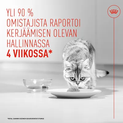 Yli 90 % omistajista kertoo, että kerjääminen on hallinnassa 4 viikon jälkeen. Viittaus Royal Caninin sisäiseen tutkimukseen. Yli 90 % omistajista kertoo, että kerjääminen on hallinnassa 4 viikon jälkeen. Viittaus Royal Caninin sisäiseen tutkimukseen.