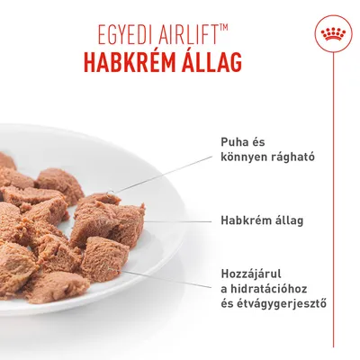 Royal Canin Appetite Control Care AirLift Mousse