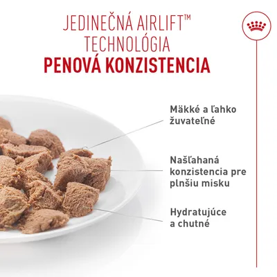 Royal Canin Appetite Control Care AirLift Mousse Royal Canin Appetite Control Care AirLift Mousse