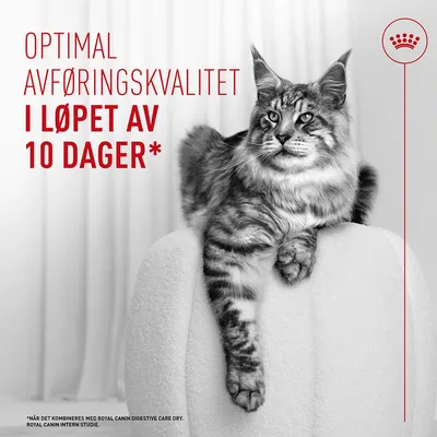 Royal Canin Light Weight Care AirLift Mousse