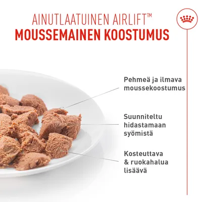 Lautanen moussemaisella ruoalla. Teksti: Pehmeä ja ilmava mousse-rakenne, kehitetty hidastamaan syömistä, kosteuttava ja ruokahalua herättävä.