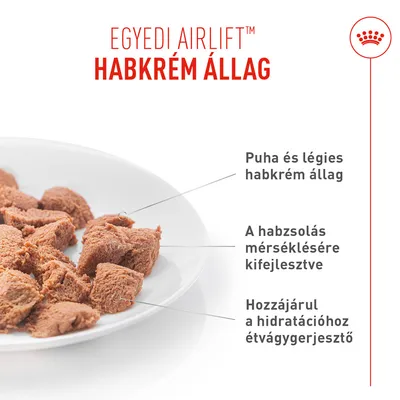 Royal Canin Digestive Care AirLift Mousse