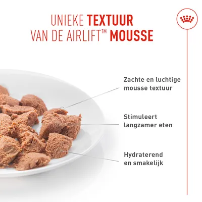 Royal Canin Digestive Care AirLift Mousse