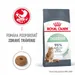 Royal Canin Digestive Care